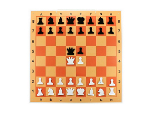 Шахматная демонстрационная доска 100 х 100 см — плоские магнитные фигуры