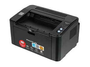 Pantum P2207 — чёрно-белая модель для офиса