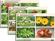 Комплект таблиц по ботанике "Многообразие растений. Лекарственные и ядовитые" А4, 16 шт.