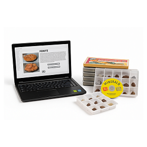 Набор минералов "Полезные ископаемые" — 18 типов