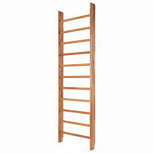 Гимнастическая стенка 2,4×0,8 м (тип 2)