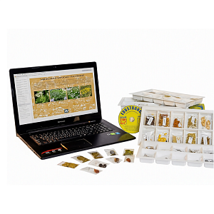 Натурально-интерактивная коллекция: плоды растений