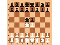 Доска шахматная демонстрационная цельная 90 см