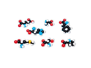 Модельный набор 8 аминокислот для занятий