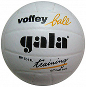 Волейбольный мяч Gala Training, р.5