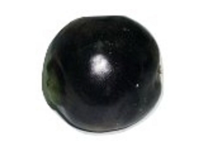 Муляж «Редька» — реалистичная модель