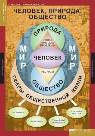 Набор плакатов по обществознанию для 8–9 класса — 7 плакатов