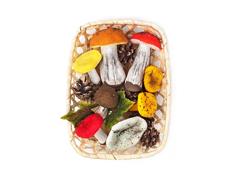 Корзина муляжей грибов — полимерная модель для класса