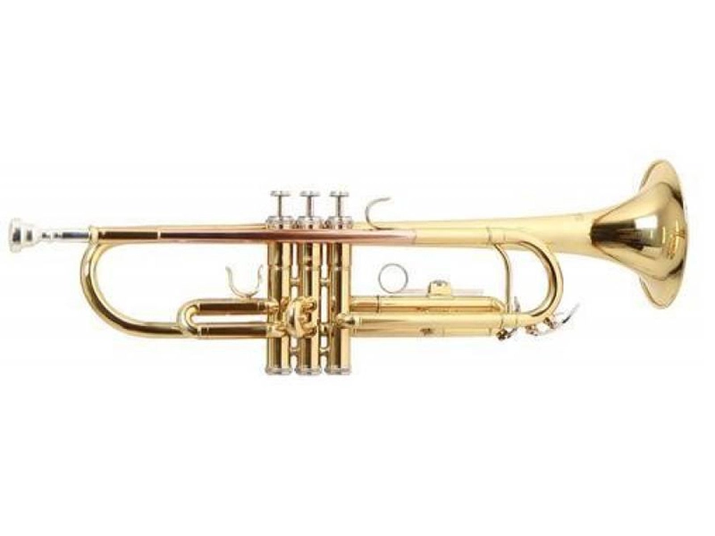 ROY BENSON TR-101 — лёгкий футляр