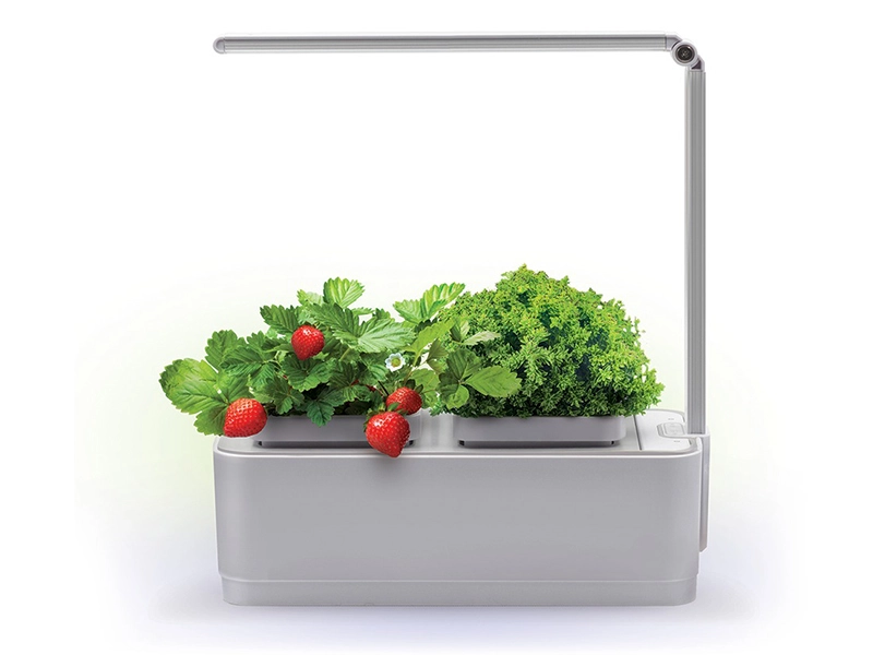 iGarden умный сад на гидропонике