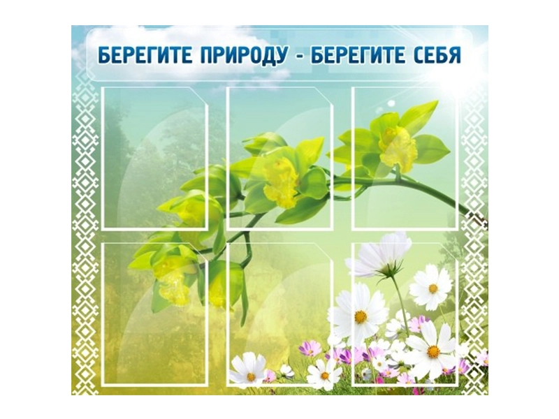 Информационный стенд «Берегите природу», 6×A4