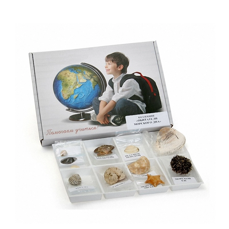 Коллекция Б487 «Обитатели морского дна» для уроков биологии