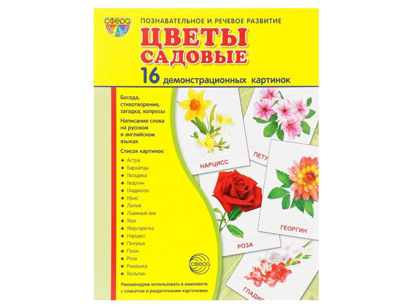 Наглядные карты «Цветы садовые» — набор 16+16