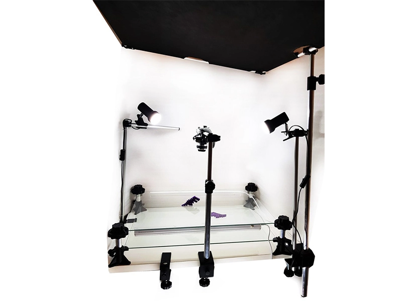 Мультстудия «Юниор» (камера до 2 кг)