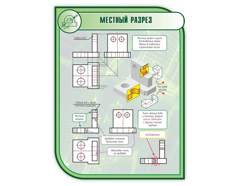 Местный разрез — стенд 1×0,75 м