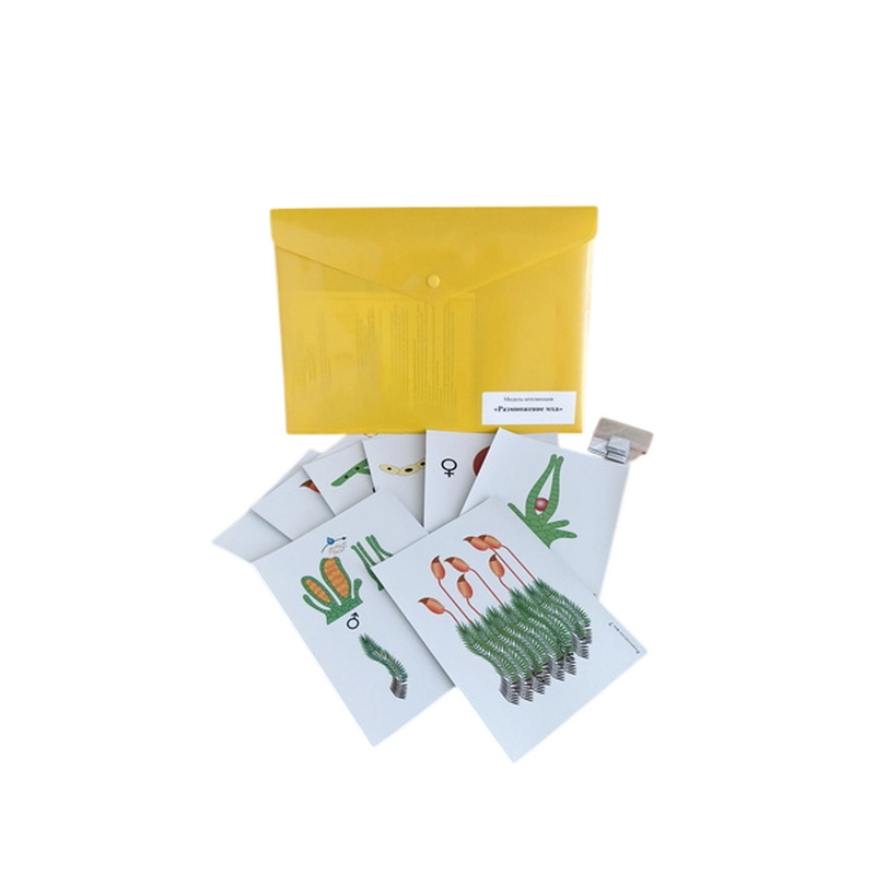 Набор учебных аппликаций: 3 демонстрационные модели