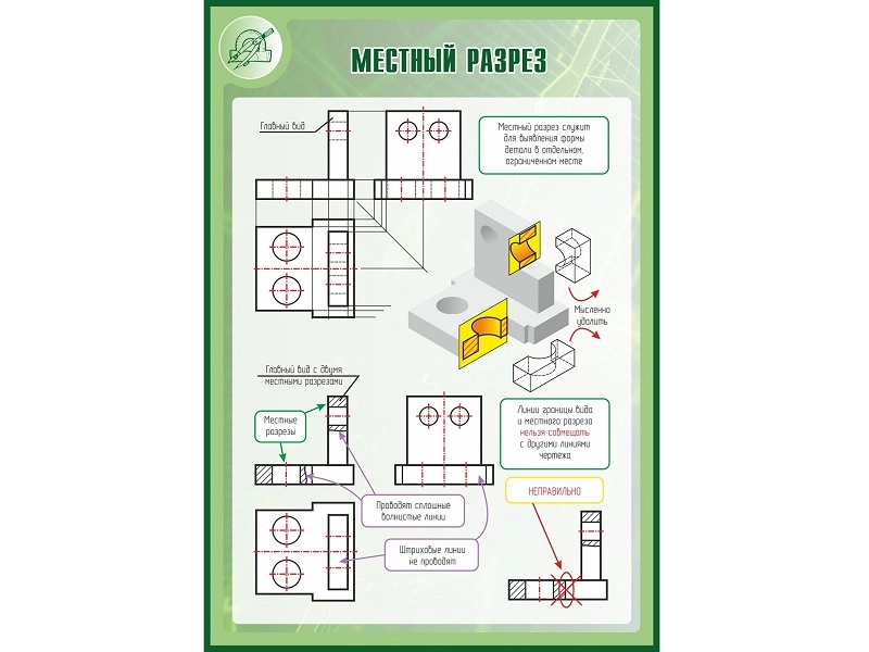 Местный разрез — стенд 100×70 см