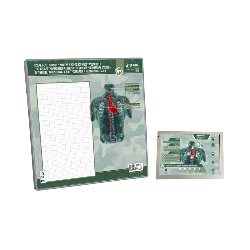 Манекен для обучения СЛР «Слава-5», взрослый