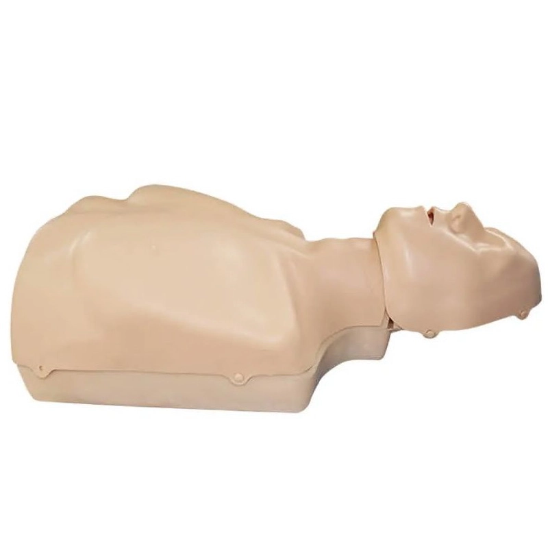Манекен-торс ТОРС-01 — портативный для отработки СЛР