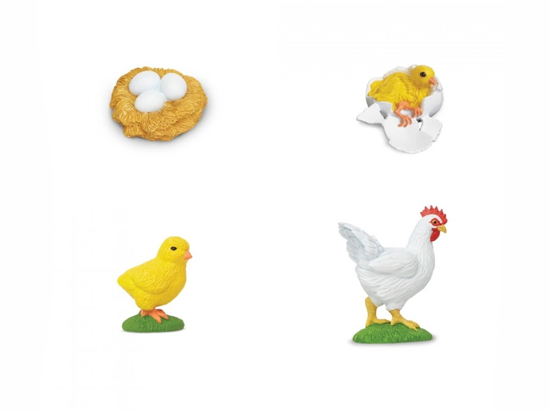 Набор фигурок "Жизненный цикл курицы" — 4 предмета