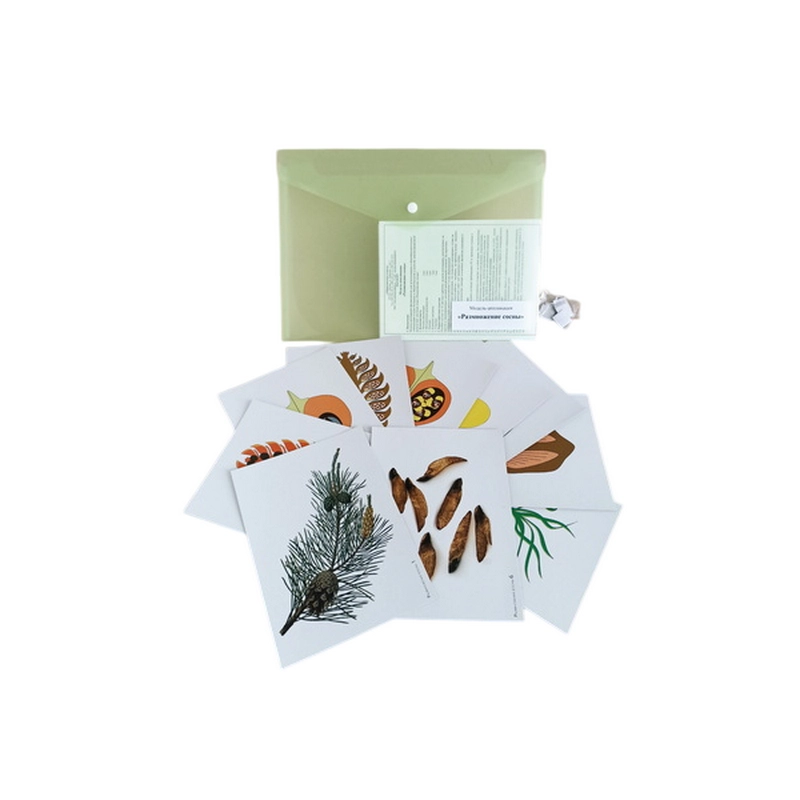 Набор учебных аппликаций: 3 демонстрационные модели