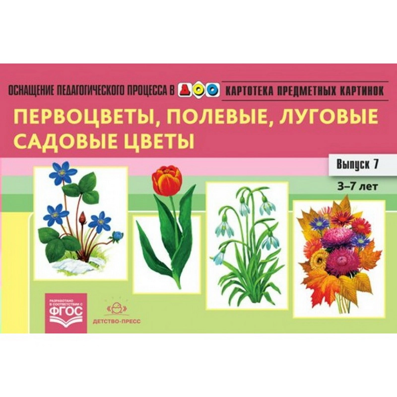 Карточки-демонстрации «Луговые и садовые цветы»