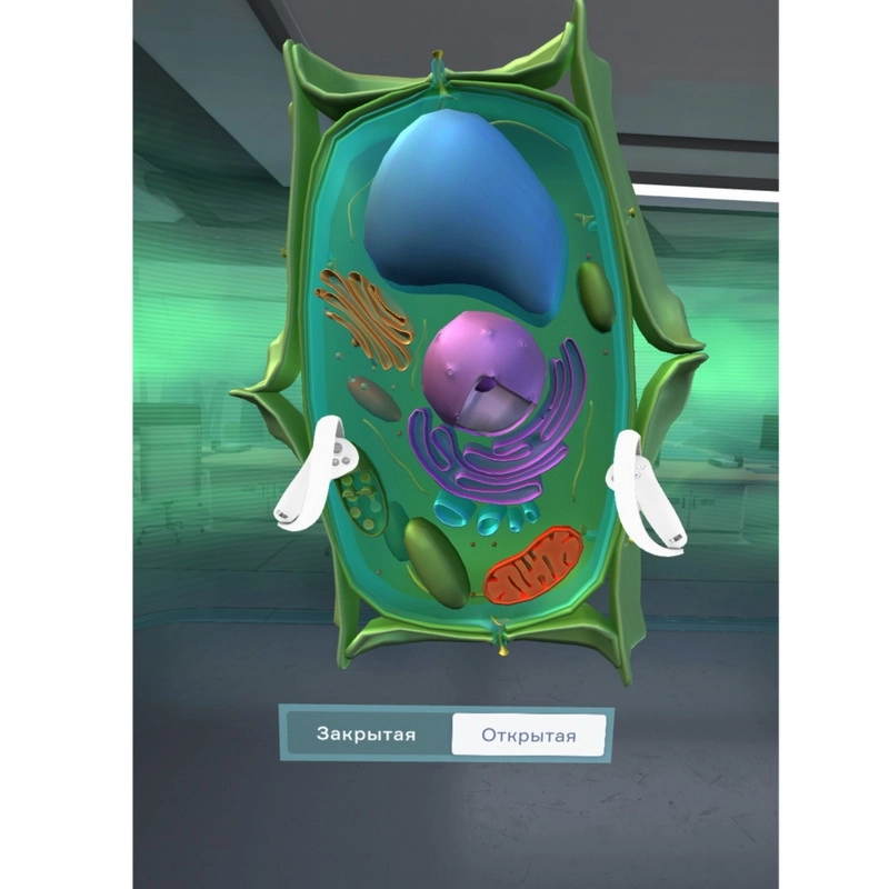 VR-курс «Цитология» для 5–11 классов