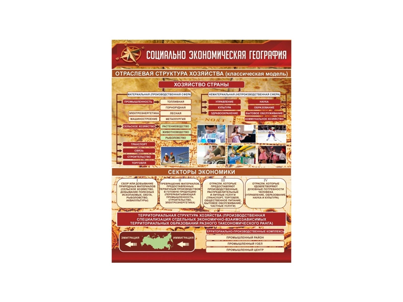 Информационный стенд — Отраслевая структура хозяйства 80×100 см