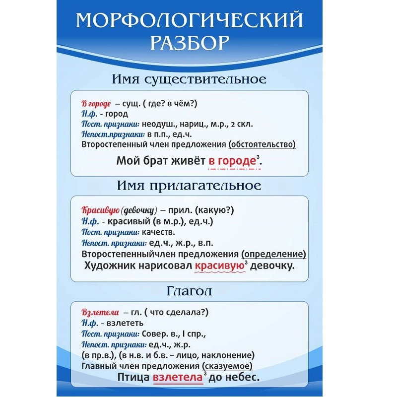 Стенд «Морфологический разбор»