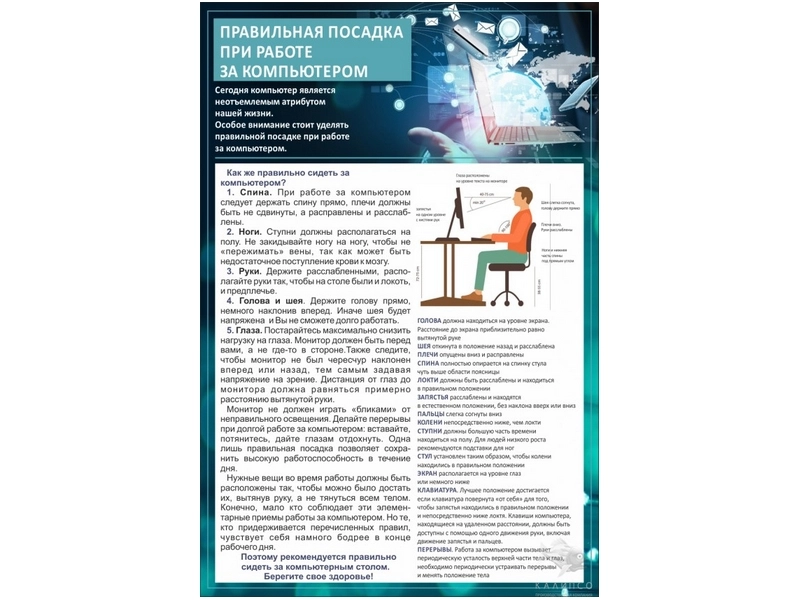 Информационный стенд "Правильная посадка" 600×900 мм