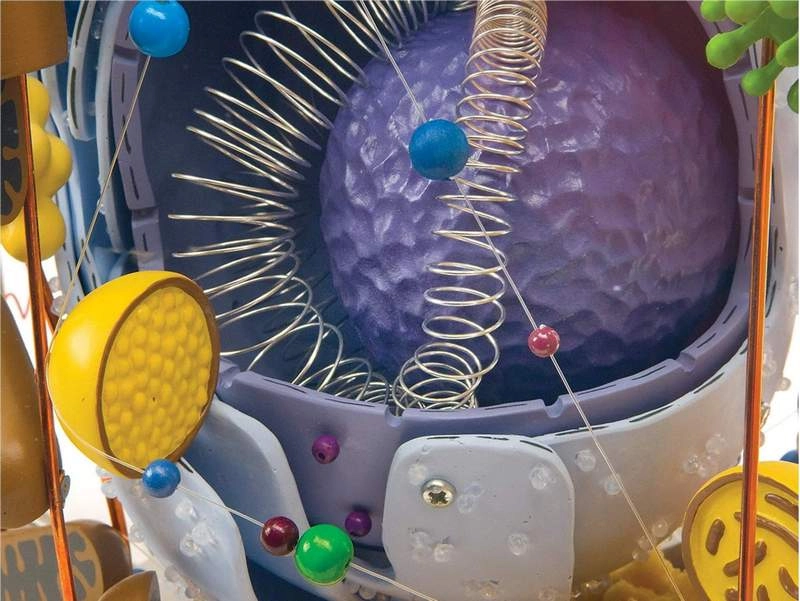 Модель клетки из стекла, увеличение ×40000