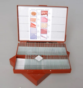 Микропрепараты "Анатомия" — учебный набор 110 шт.