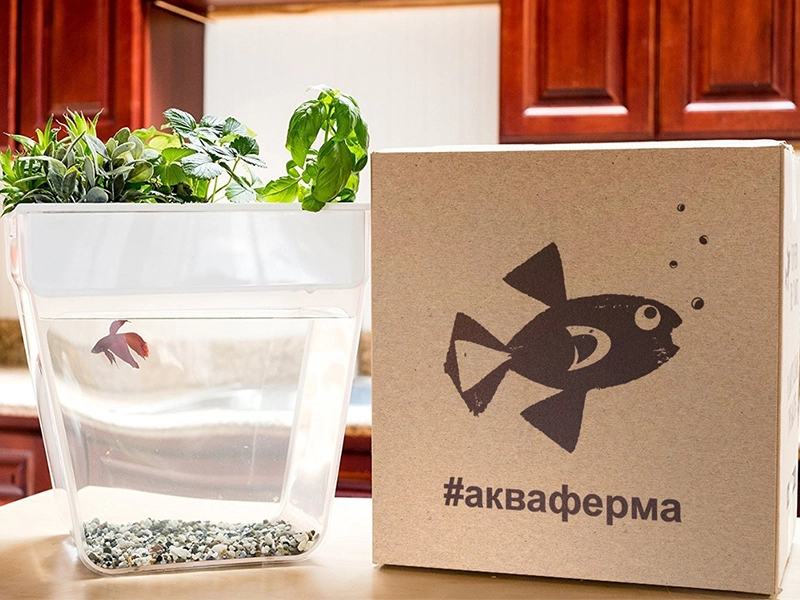 Набор для выращивания растений и ухода за рыбкой Акваферма