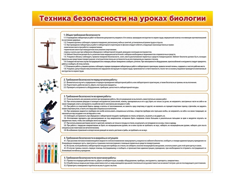 Информационный плакат по ТБ в биологии 100×90 см