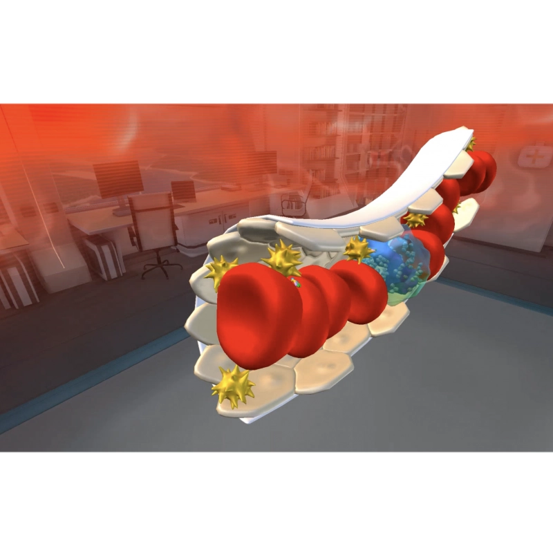 VR-курс «Цитология» для 5–11 классов