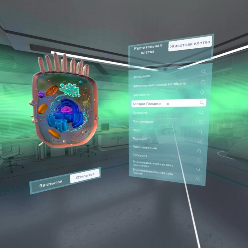 VR-курс «Цитология» для 5–11 классов