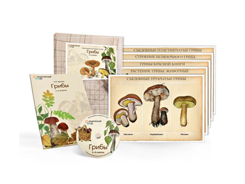 Пособие «Грибы» — учебный CD плюс 10 плакатов