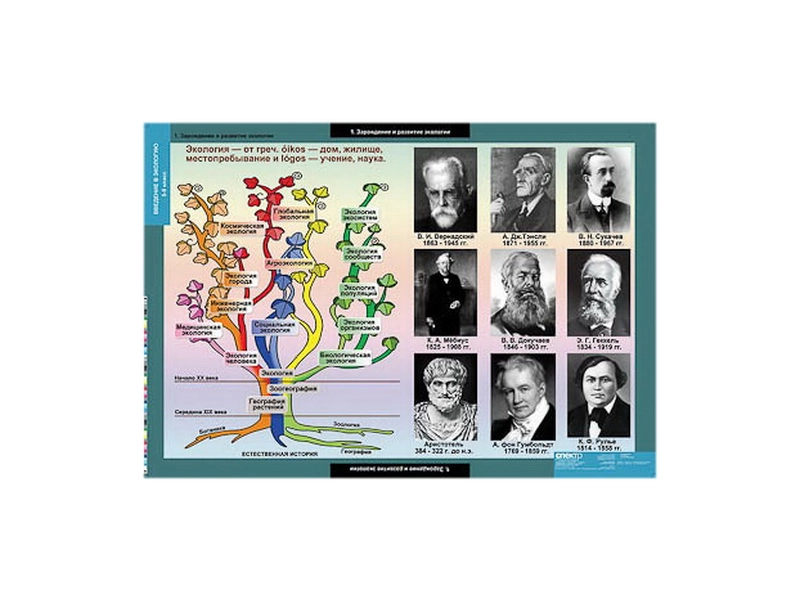 Набор демонстрационных таблиц по экологии, формат 68×98 см