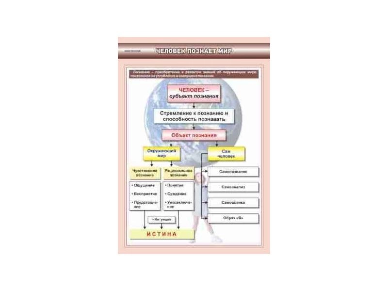 Комплект плакатов «Обществознание» — 11 панелей 700×1000 мм