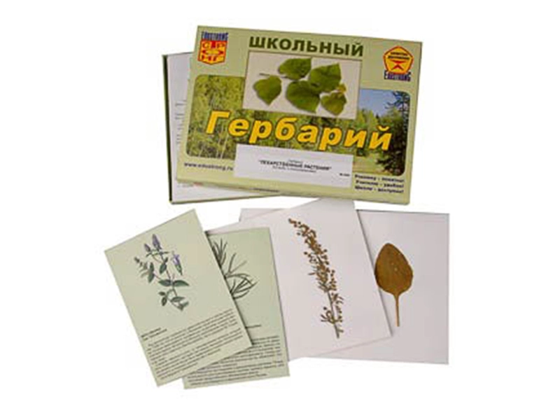 Гербарий ЭДГ-8554: лекарственные растения, 22 образца