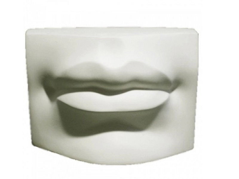 Учебная гипсовая модель губ человека