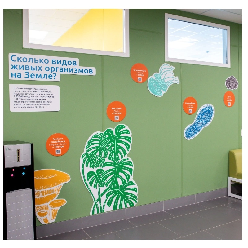 Образовательное панно «Разнообразие видов» для кабинета