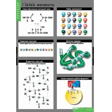 Таблицы «Химия клетки» — листы 68×98 см, набор из 3