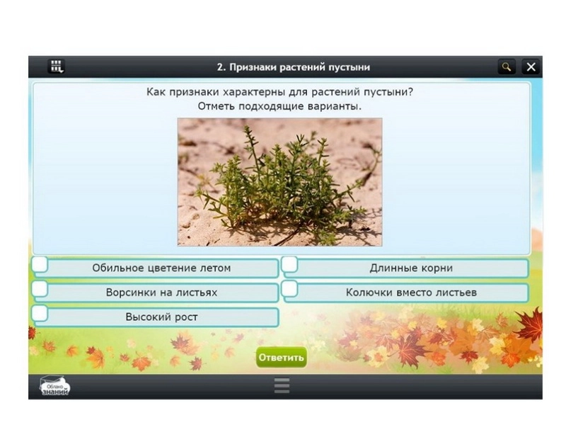 Цифровой курс «Окружающий мир», 3 класс — 153 модуля