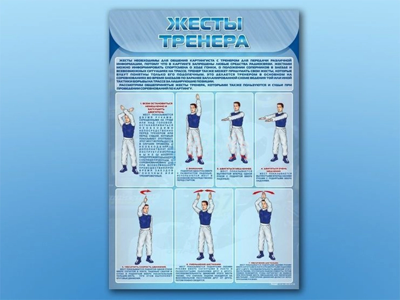 Информационный стенд Жесты тренера 70 х 100 см