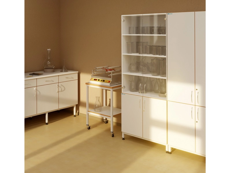 Шкаф лабораторный СВЛ-ШП 800×500×195