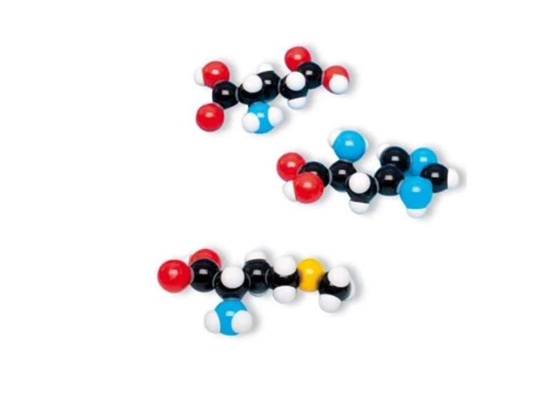 Модельный набор 8 аминокислот для занятий