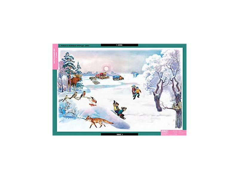 Набор демонстрационных таблиц "Окружающий мир", 56 листов