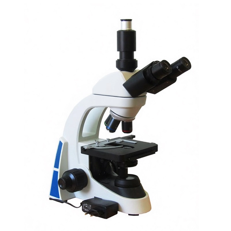 Проекционный демонстрационный микроскоп 40–1000×