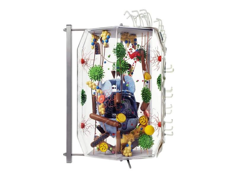 Модель клетки из стекла, увеличение ×40000